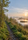 Cover Forest26 Wandelroutes Flevoland — 10 wandelroutes
