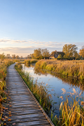 Cover Forest26 Wandelroutes Overijssel — 10 wandelroutes