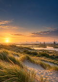 Cover Forest26 Wandelbundel West-Nederland — 30 wandelroutes