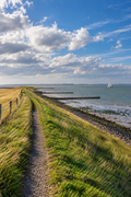 Cover Forest26 Wandelroutes Zeeland — 10 wandelroutes