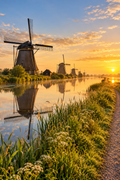 Cover Forest26 Wandelroutes Zuid-Holland — 10 wandelroutes